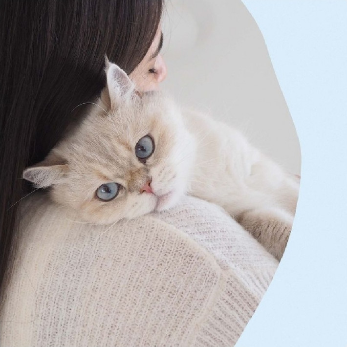 Вітамінний комплекс GimCat Nutri Kitten Bites для кошенят, таблетки 40 г - фото №8