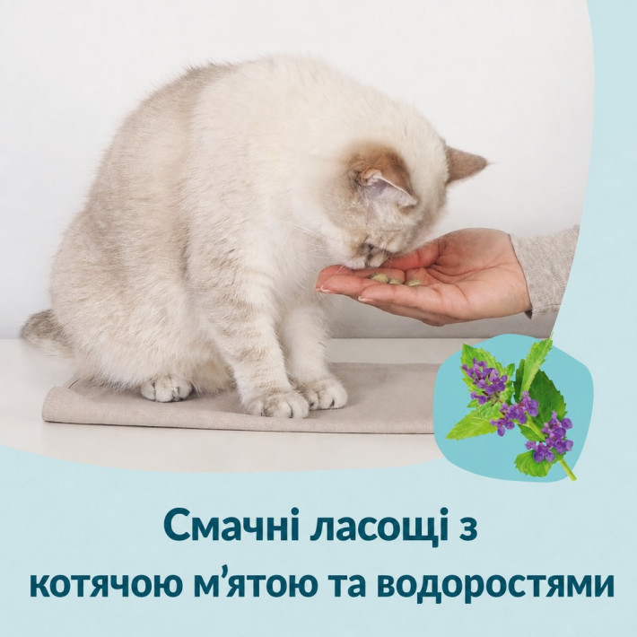 Вітаміни GimCat Nutri Dental Bites для здоров'я зубів котів, 40 г - фото №6