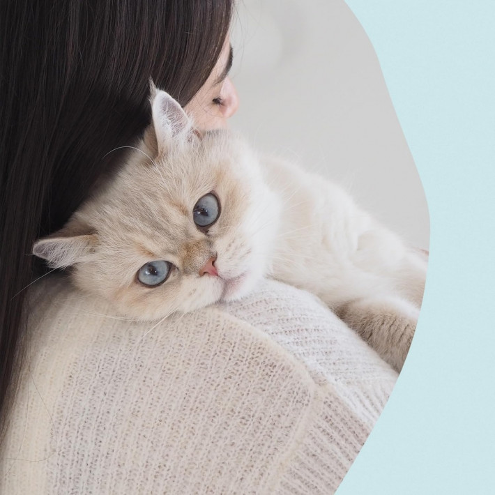 Вітаміни GimCat Nutri Dental Bites для здоров'я зубів котів, 40 г - фото №7