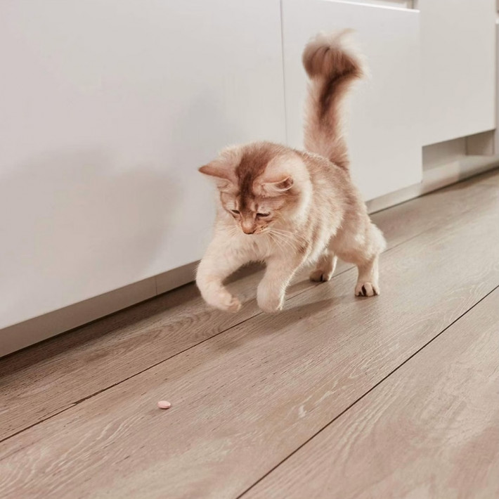 Вітаміни GimCat Nutri Dental Bites для здоров'я зубів котів, 40 г - фото №9