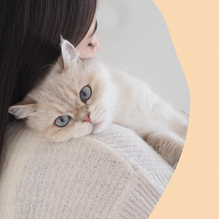 Мультивітамінні ласощі для дорослих котів GimCat Nutri Vitamin Bites, 40 г - фото №7