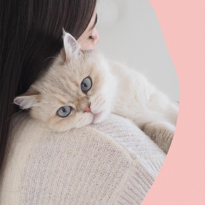 Вітаміни GimCat Nutri Biotin Bites для дорослих котів для покращення стану шкіри та шерсті з біотином, 40 г - фото №6