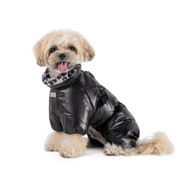 Комбинезон для собак Pet Fashion Indigo, XS, черный - фото №2