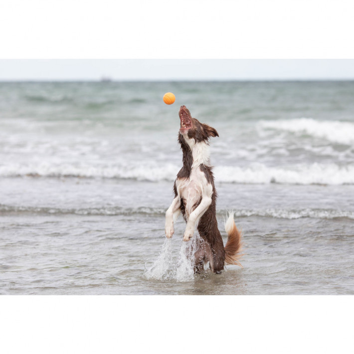 Іграшка Trixie для собак аква м'яч гумовий жовтий - фото №4