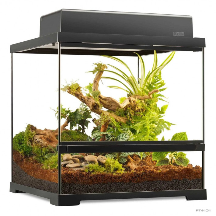 Террариум ExoTerra Pro Terrarium 45x45x45 см - фото №2