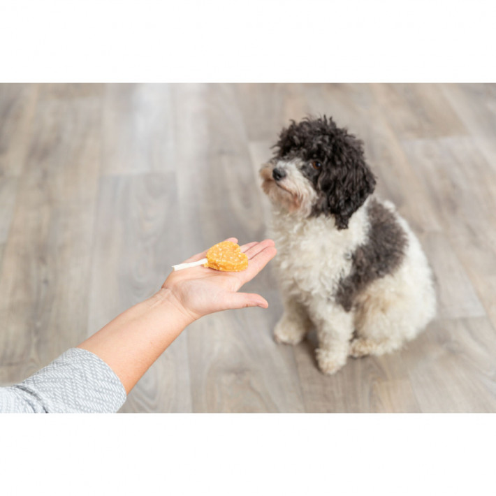 Лакомство Trixie PREMIO Lolly с курицей и рисом для собак - фото №3
