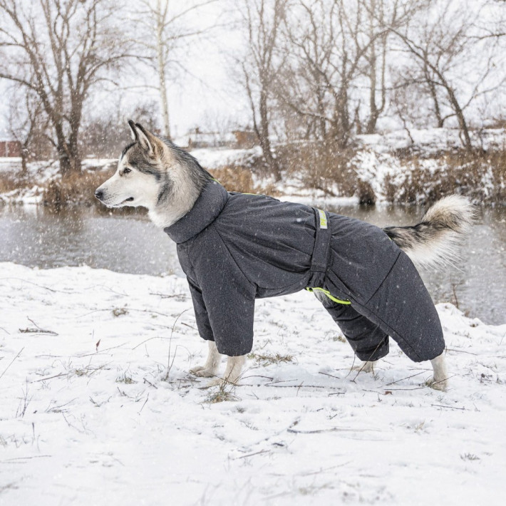 Зимний комбинезон для собак Pet Fashion Cold, серый, размер ML - фото №5