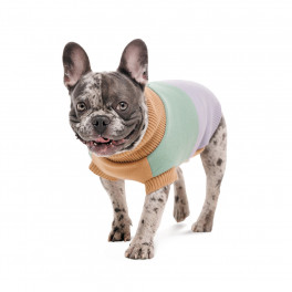 Свитер Rich для собак такса M Pet Fashion - фото №2