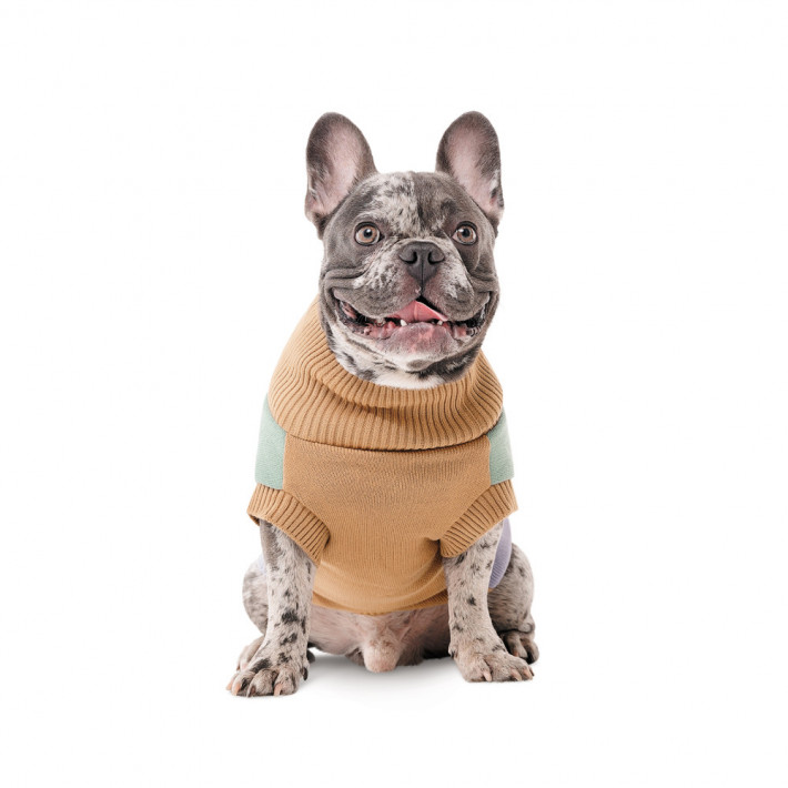 Вязаный свитер Rich для собак породы такса (размер M), Pet Fashion - фото №3