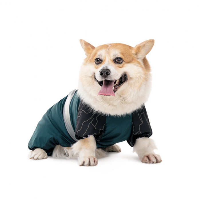 Комбинезон для собак Den SM от Pet Fashion - фото №3