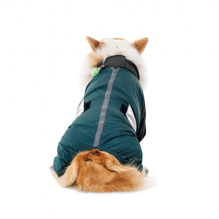 Комбинезон для собак Den SM от Pet Fashion - фото №4
