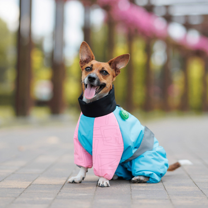 Комбинезон для собак Milly девочка МL от Pet Fashion - фото №4