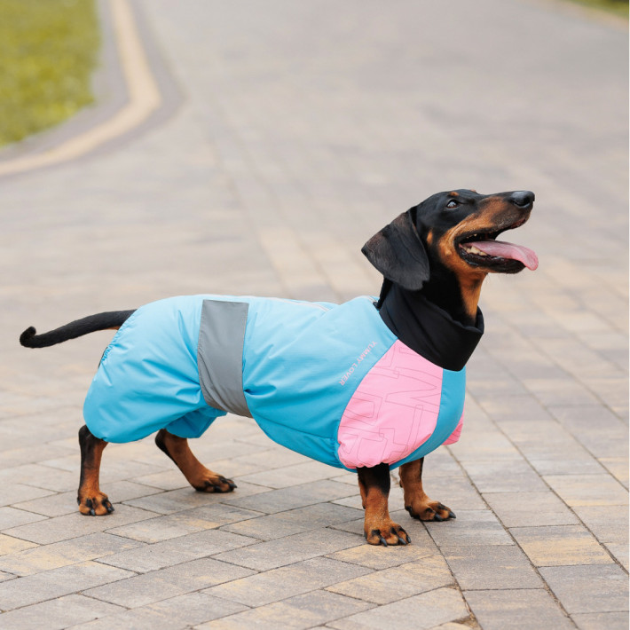 Комбинезон для собак Milly девочка МL от Pet Fashion - фото №5