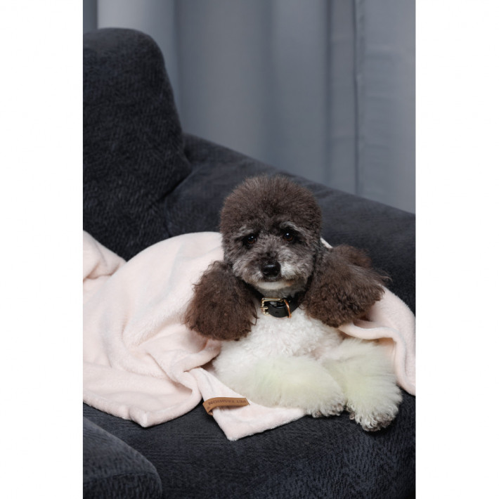 Плюшевый плед Pet Fashion Bliss 1 для собак и кошек, пудра, 86х67,5 см - фото №10