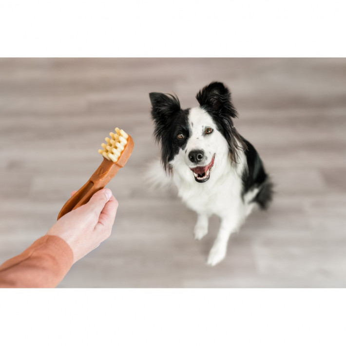 Жевательные лакомства Whimzees Toothbrush в форме зубной щетки для собак (M, 12 шт) - фото №7