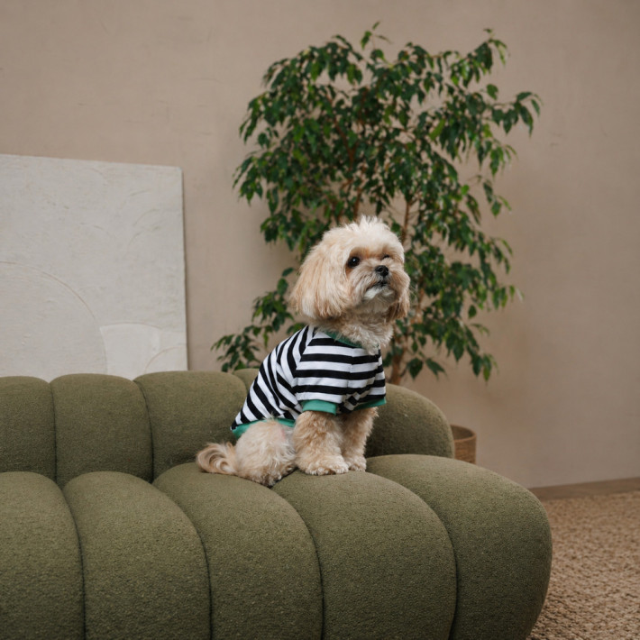 Футболка для собак Pet Fashion Breeze, розмір M - фото №3