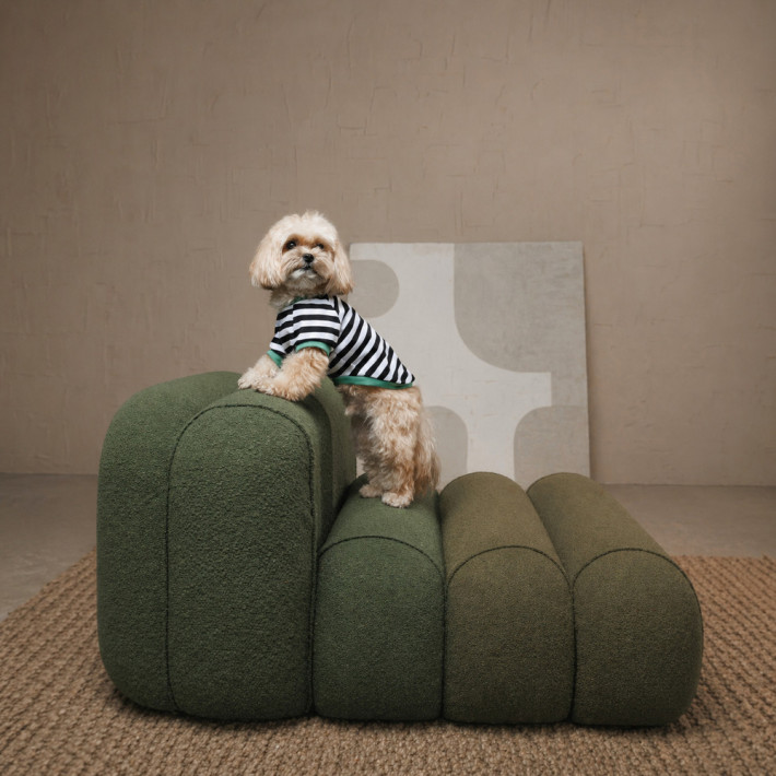 Футболка для собак Pet Fashion Breeze, розмір M - фото №5