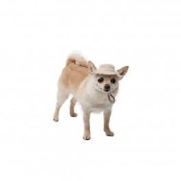 Панама Pet Fashion Gold XL