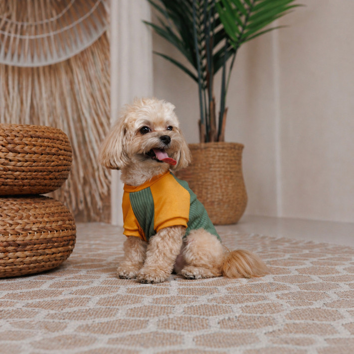 Футболка для собак Pet Fashion Kent XS2 оливкового кольору - фото №3