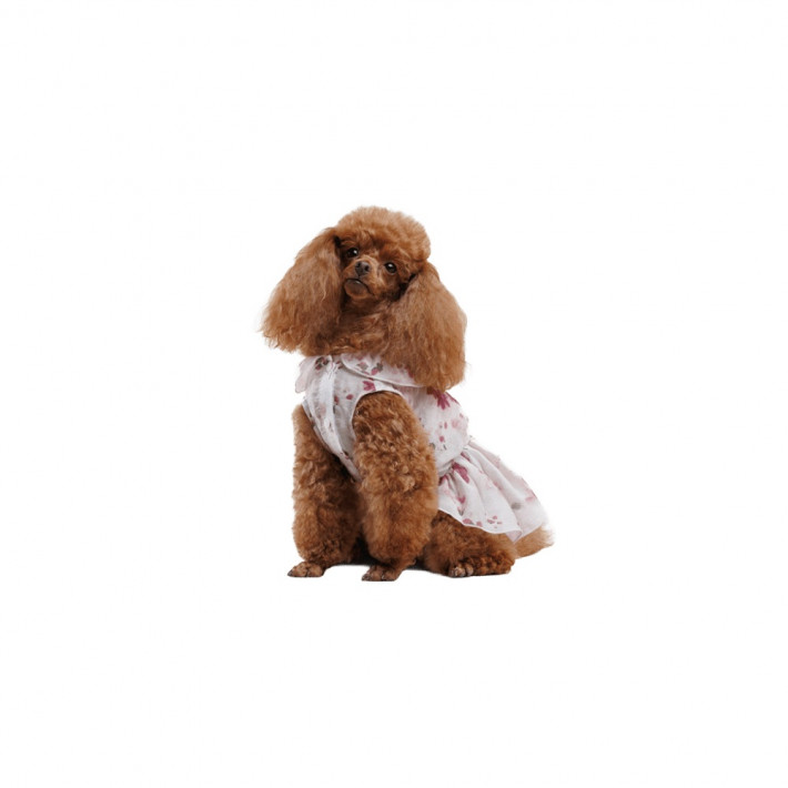 Сукня для собак Pet Fashion Amelia, розмір S - фото №4