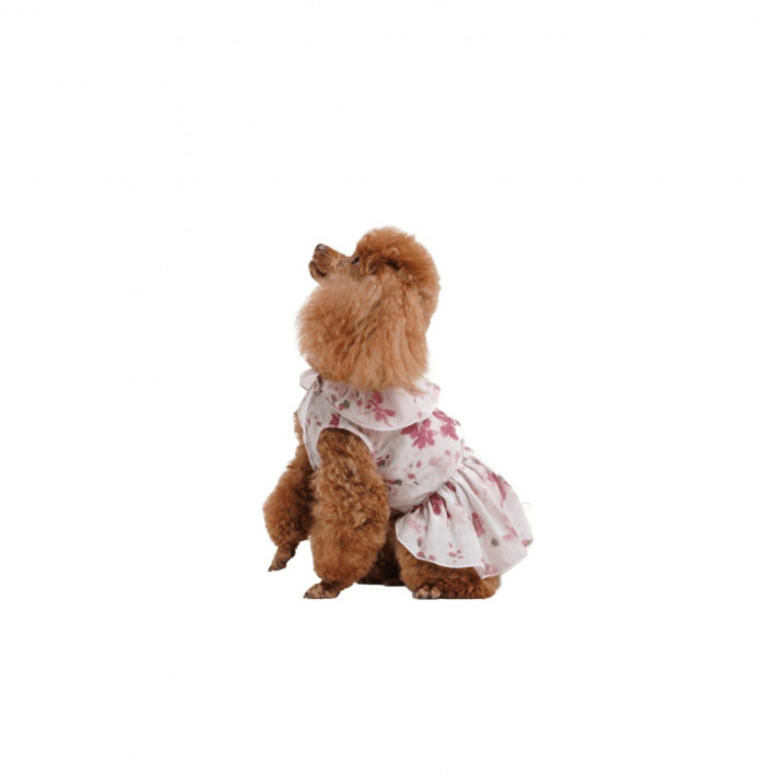 Сукня для собак Pet Fashion Amelia, розмір S - фото №5
