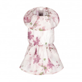 Сукня Pet Fashion Amelia XS біла