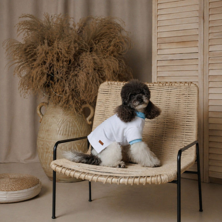 Футболка Pet Fashion Polo для собак, розмір S, біла - фото №5