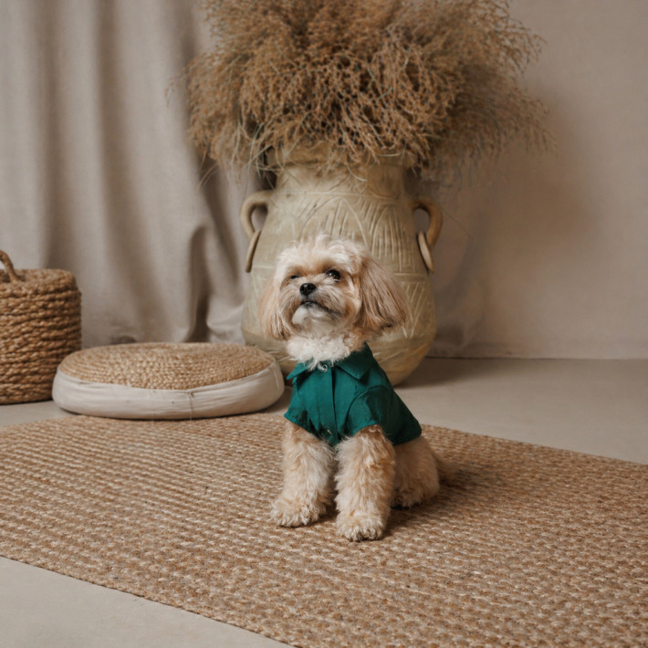 Сорочка для собак Pet Fashion Seaman, розмір XS2 - фото №3