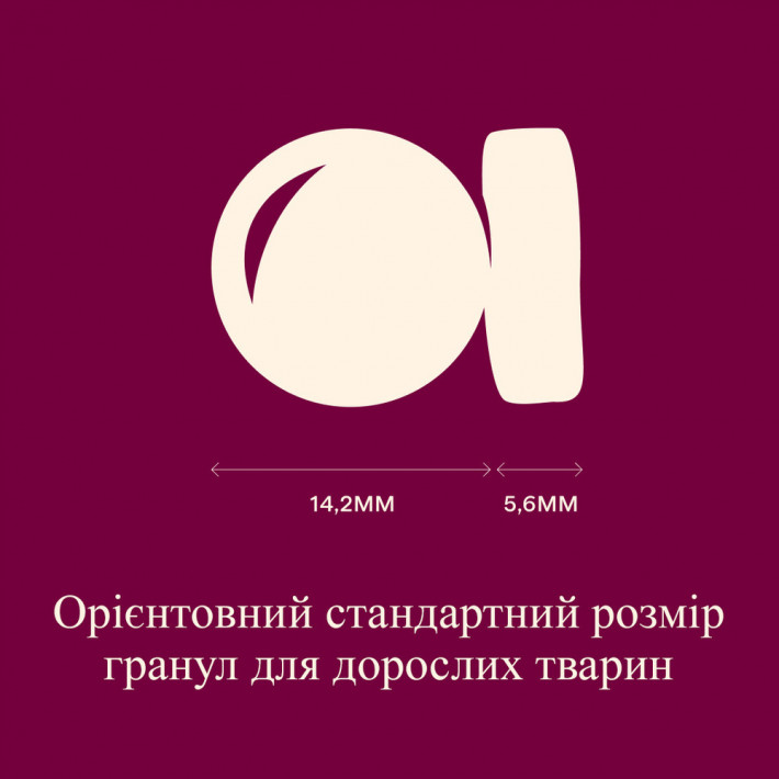Сухий корм Carnilove Active Lamb & Wild Boar для собак (ягня та дикий кабан), 1,5 кг - фото №4