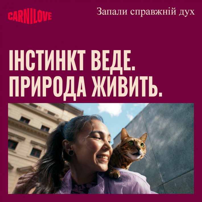 Сухой корм для стерилизованных кошек Carnilove Active Beef & Venison Sterilised, говядина и оленина, 6 кг - фото №9