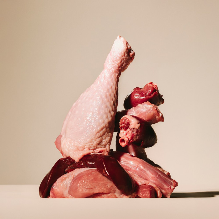 Вологий корм Carnilove Turkey & Pheasant with Raspberry Leaves для собак, паштет індичка та фазан, 300 г - фото №3