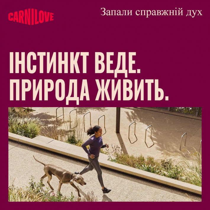 Хрусткі ласощі для собак Carnilove Crunchy Snack Lamb with Cranberries, ягня та журавлина, 200 г - фото №7