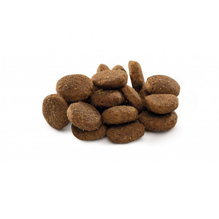 Сухой корм Brit Premium Dog Junior XL для щенков гигантских пород с курицей - фото №2