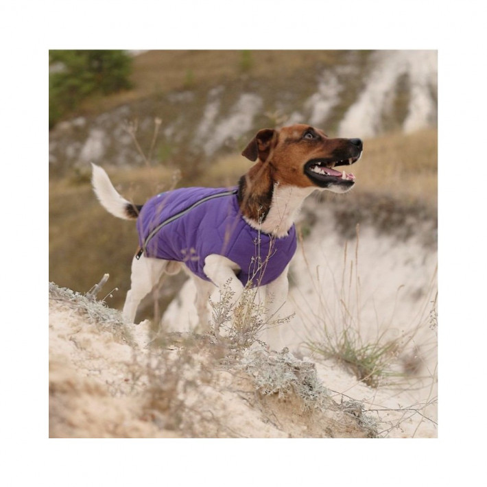 Жилет Pet Fashion E.Vest для собак фиолетовый, размер XS - фото №3