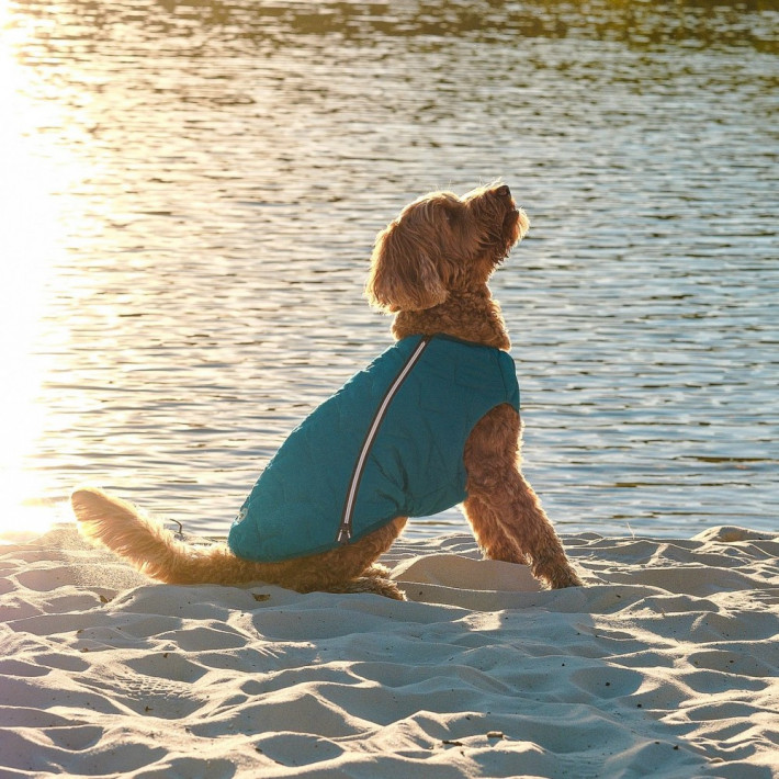 Жилет для собак Pet Fashion E.Vest, морская волна, XS-2 - фото №6