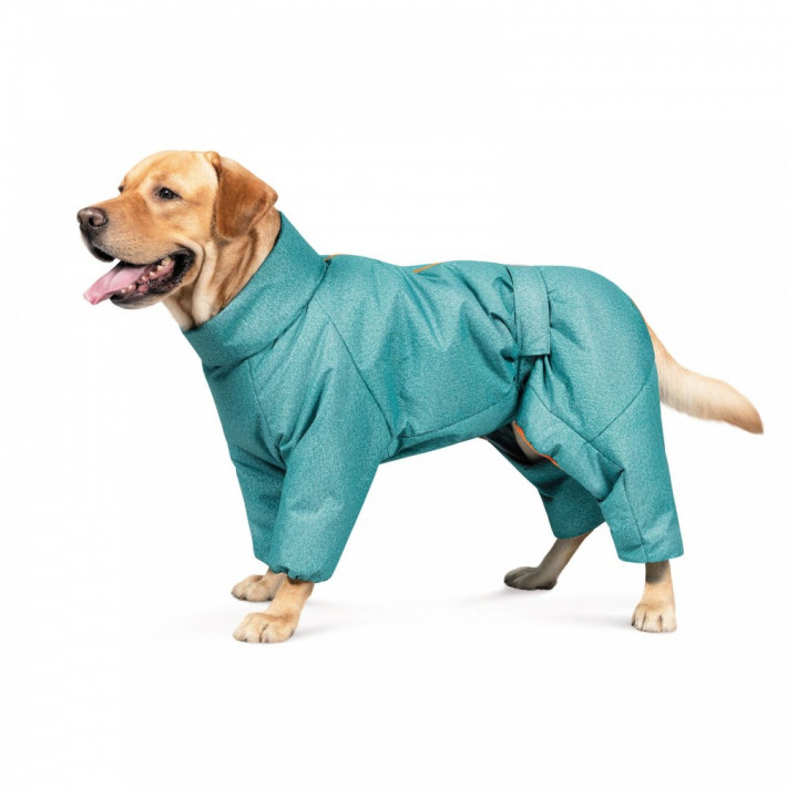 Зимний комбинезон Pet Fashion Cold для собак, бирюза, размер XS - фото №4