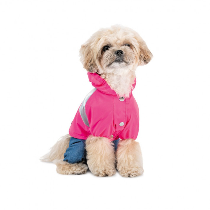 Дождевик Betty M Pet Fashion для собак (девочка) - фото №3