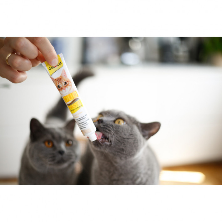 Мультивітамінна паста GimCat DUO PASTE 12 вітамінів із сиром для котів - фото №4
