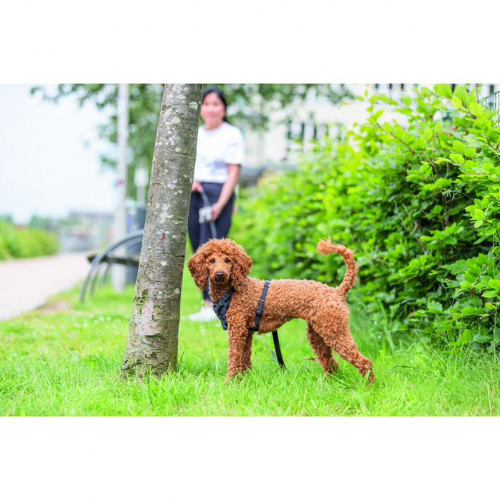 Шлея Trixie CityStyle H-harness для собак бавовна M–L 52–75 см чорна - фото №3
