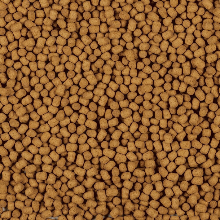 Корм Tetra ReptoMin Energy для черепах, 100 мл - фото №2