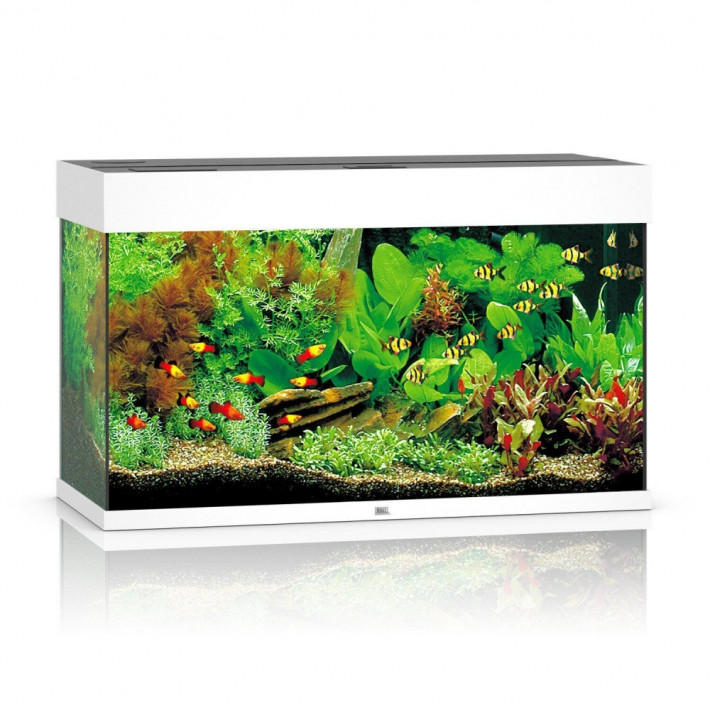 Акваріум Juwel Rio 125 LED білий