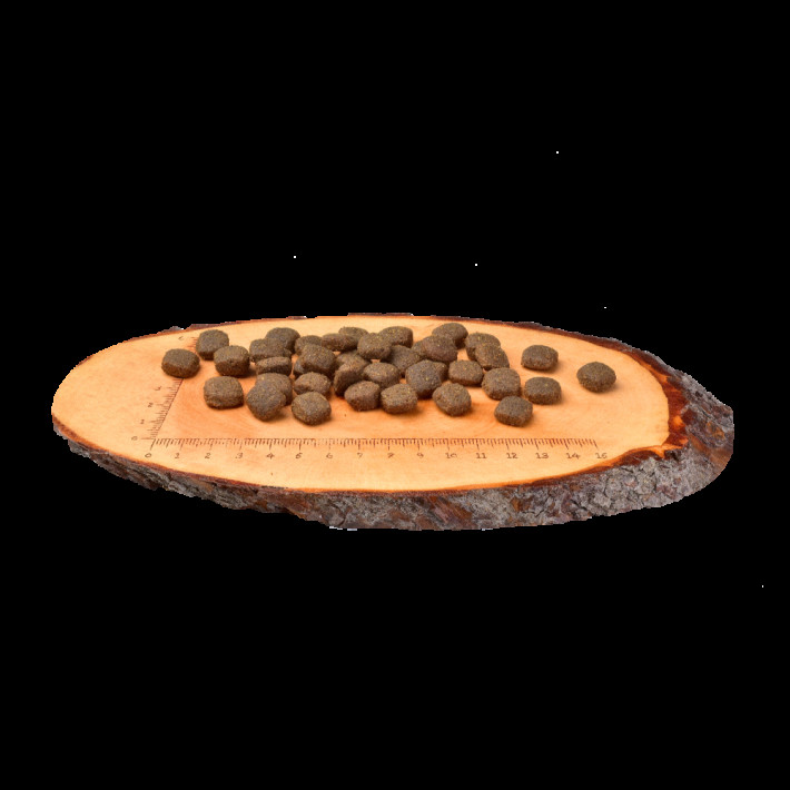 Сухий корм Carnilove Adult Lamb and Wild Boar для дорослих собак - фото №2