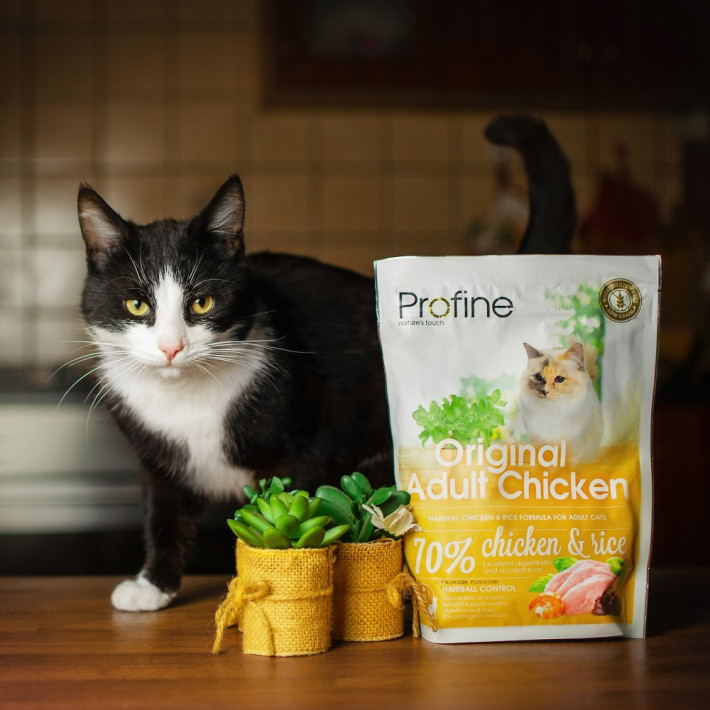 Корм сухий Profine Cat Original Adult для дорослих котів з куркою та рисом 300 г - фото №6
