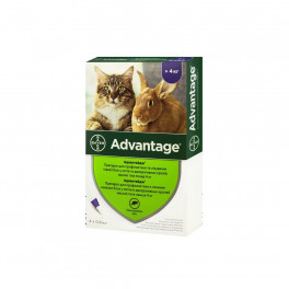 Адвантейдж 80 более 4кг 1уп(4 пипетки*0,8мл) для кошек (инсектицид)
