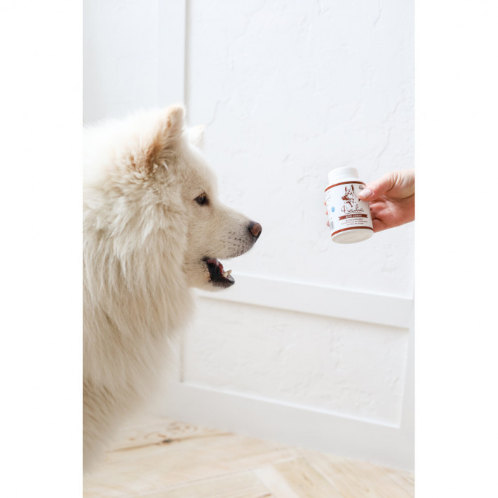 Фітокомплекс Provet ФІТОВИТ для зміцнення суглобів собак - фото №2