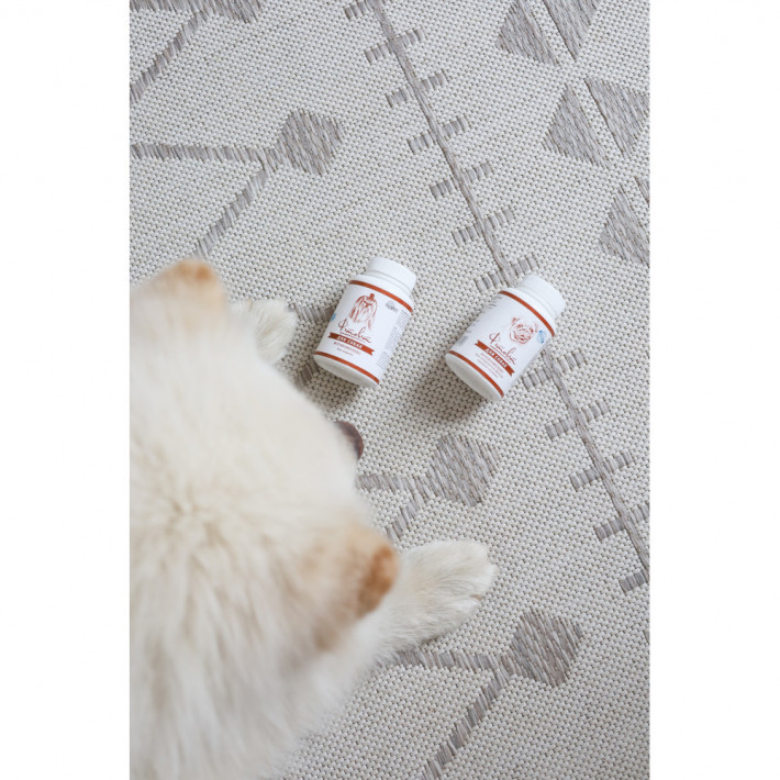 Фітокомплекс Provet ФІТОВИТ для собак для покращення травної системи - фото №3