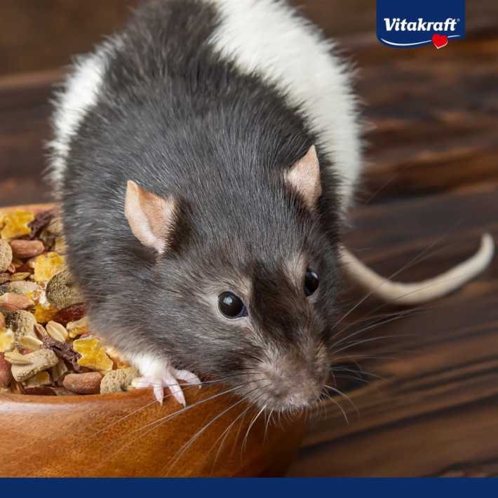 Корм Vitakraft Premium Menu Vital для декоративних гризунів та щурів 1000 г - фото №6