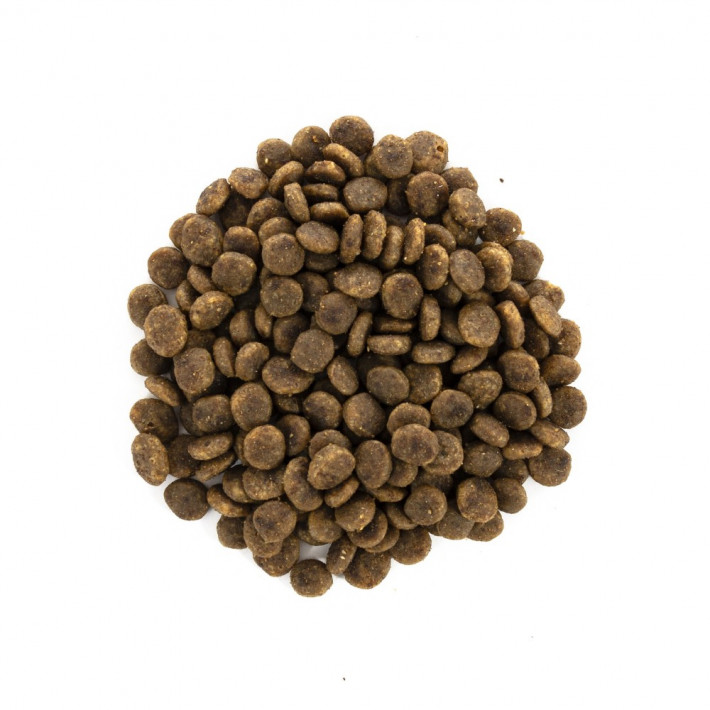 Корм сухий Brit Care Cat Grain Free Sensitive Digestion для котів з індичкою - фото №2