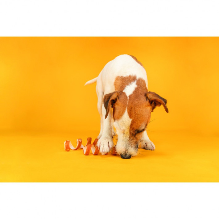 Ласощі Trixie Denta Fun Chicken Chewing Curls для собак - фото №3