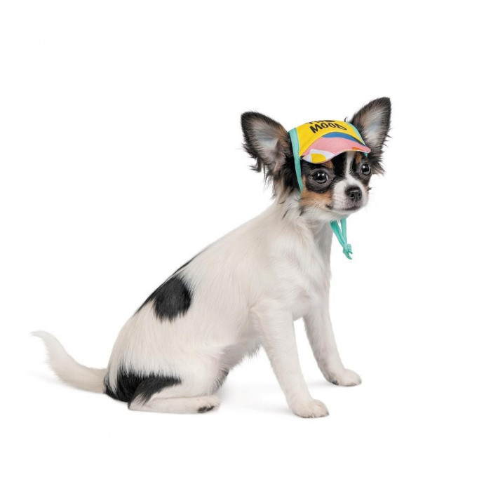 Кепка Pet Fashion SUMMER XS жовта